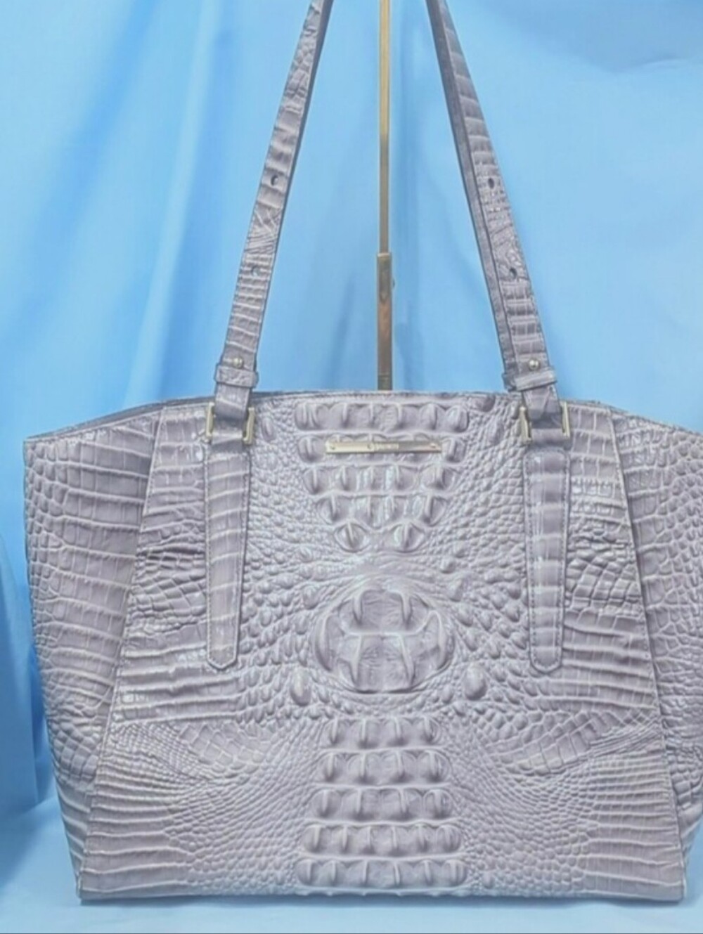 EUC Brahmin Paris in Quill